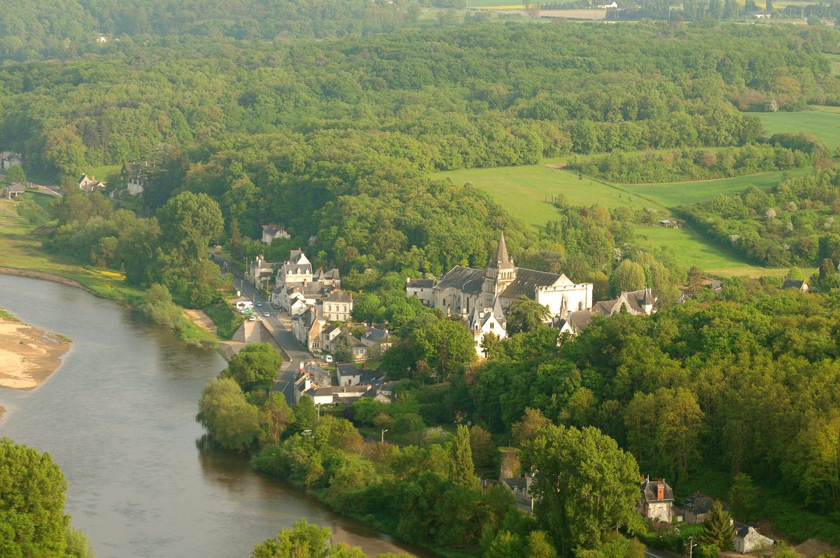 Vue aérienne de Cunault