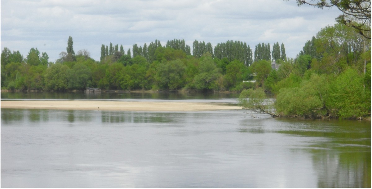 La Loire à Chênehutte